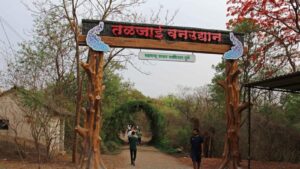 Pune Forest Dept Forms Urban Joint Forest Management Committee for Taljai Hills ; announces various development works