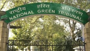 Pune: NGT is set to address concerns over tree felling in Wanowrie tomorrow