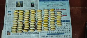 Mumbai Airport: DRI intercepts Cote D'Ivore national carrying cocaine worth Rs 15 crore in illicit market