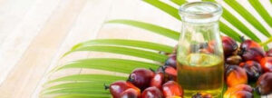 Palm Oil: A Controversial Vegetable Oil, But Actually Reduces Blood Cholesterol Levels