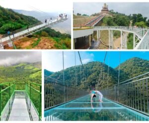 India’s Glass Bridges That Are a Gateway to Panoramic Wonders