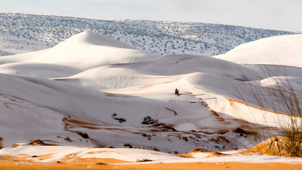 Perpetual Frost: Exploring India's 10 Year-Round Cold Oases