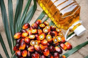 Palm Oil: Evolution, Controversy, and Global Dominance