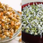 Sprouts: Raw or Steamed? Here’s What You Should Know