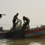 Bhati Village on Madh Island Offers a Glimpse into Mumbai’s Original Fishing Culture