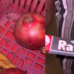 Fruit Vendor in Malad Caught Allegedly Applying Rat Poison on Fruits, Video Sparks Outrage