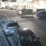 Leopard Spotted in Mulund, Attacks Dog Outside Housing Society