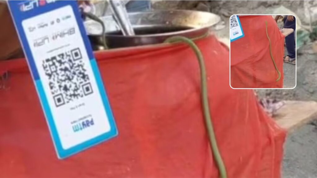 Snake Spotted on Pani Puri Cart in Virar, Sparks Panic Among Customers