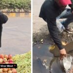 Viral Video Shows Fruit Seller Allegedly Using Dirty Water on Fruits in Virar West