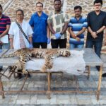 Leopard Bittu Dies After Prolonged Illness at Sanjay Gandhi National Park