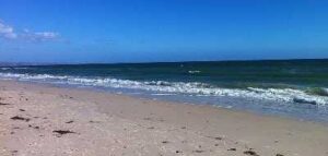 Savane Beach: A Peaceful Weekend Escape Near Mumbai