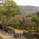 Steep Fee Hike at SGNP Sparks Concern Among Mumbai’s Morning Walkers