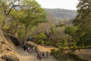 Steep Fee Hike at SGNP Sparks Concern Among Mumbai’s Morning Walkers