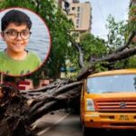 Chembur Tree Fall Tragedy: 11-Year-Old Student Dies, Two BMC Officials Suspended