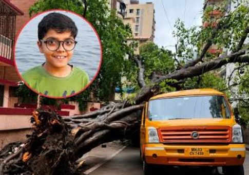 Chembur Tree Fall Tragedy: 11-Year-Old Student Dies, Two BMC Officials Suspended